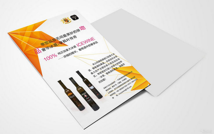 宣傳頁設計