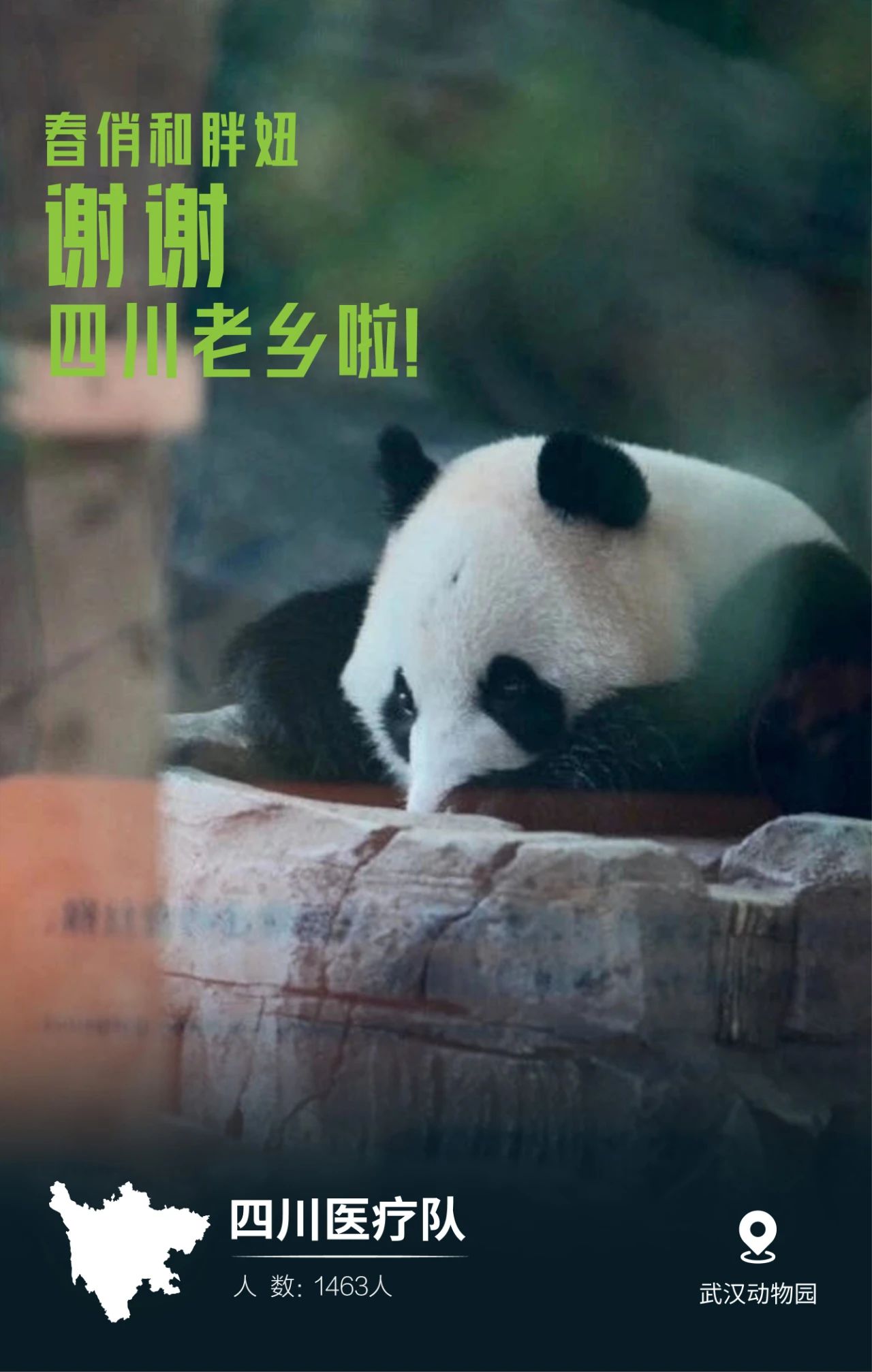 31張馳援武漢醫療隊名片，向抗疫一線的英雄致敬
