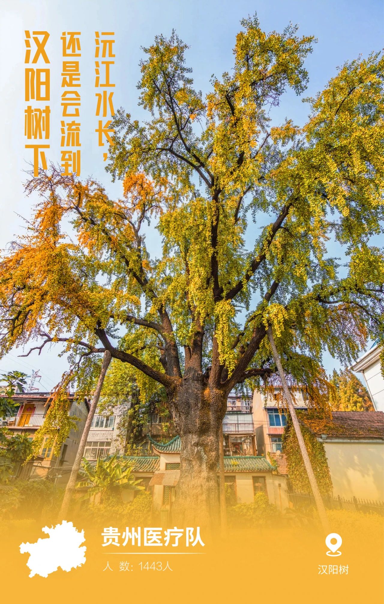31張馳援武漢醫療隊名片，向抗疫一線的英雄致敬