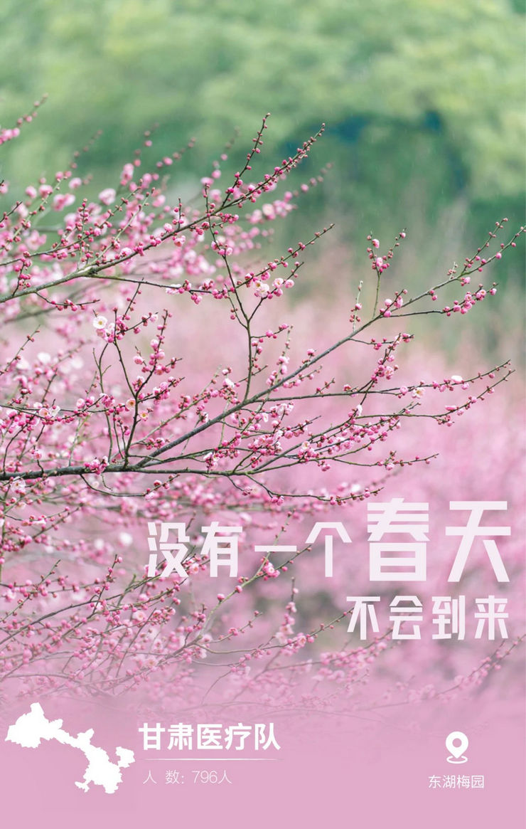 31張馳援武漢醫療隊名片，向抗疫一線的英雄致敬